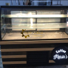 İmalattan Pasta Dolabı Pasta Teşhir Dolabı